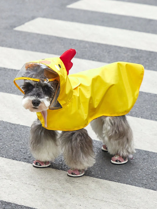 PETSIN Cartoon Chicken Pet Raincoat
