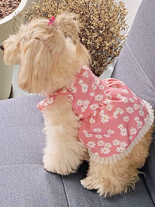 PETSIN Pink Floral Pet Dress