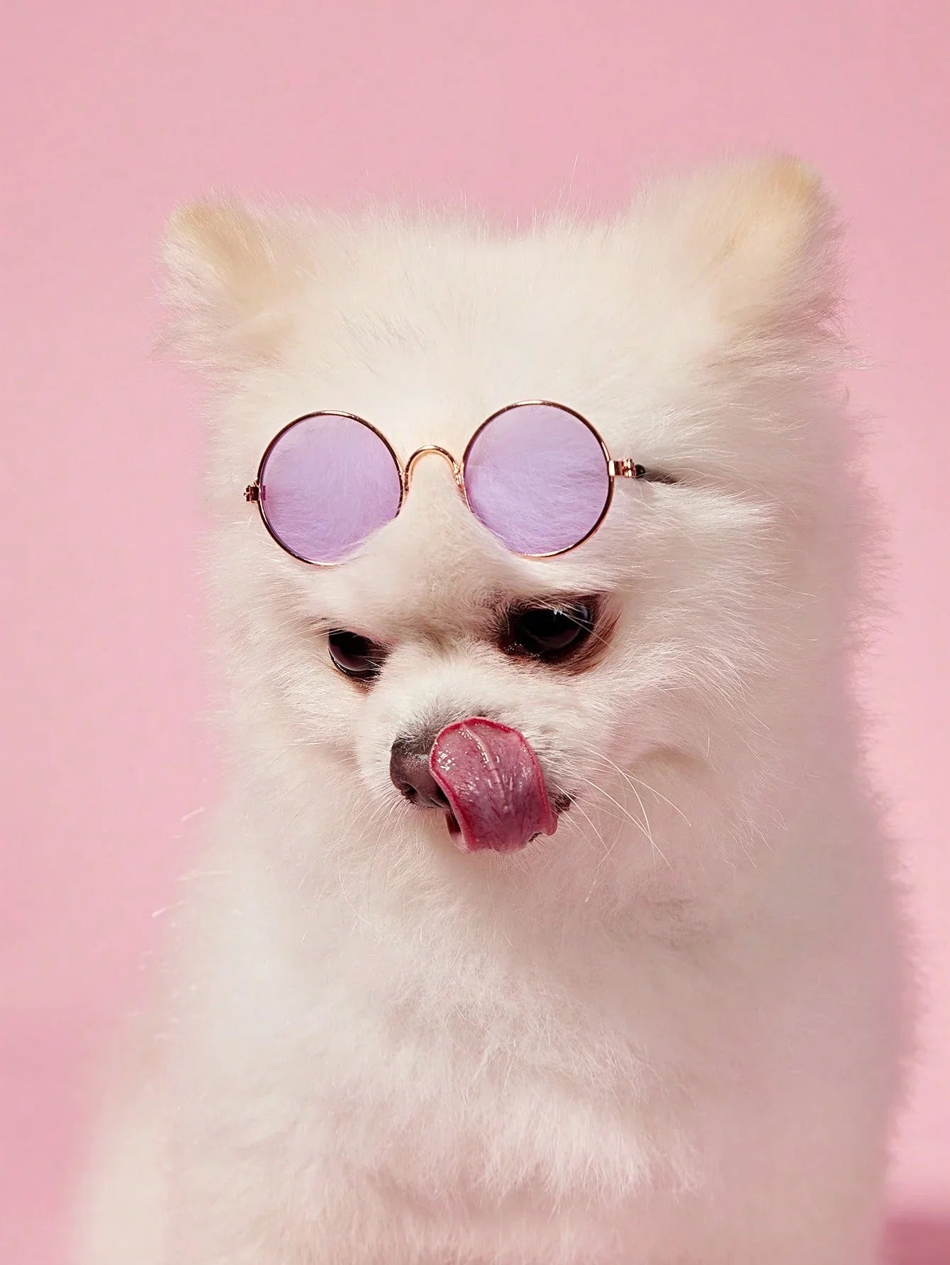 PETSIN Hip-Hop Pet Sunglasses