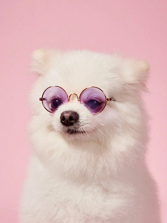 PETSIN Hip-Hop Pet Sunglasses