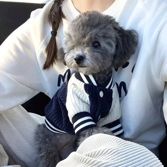 PETSIN Dog Baseball Jacket