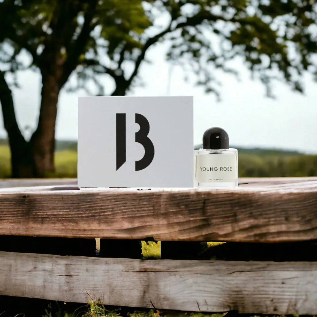 BYREDOO series of four neutral perfume, with a variety of fragrance options, flowers and fruits wood fragrance, high-end gift box packaging, unique fragrance, lasting fragrance, suitable for any venue, the best choice for gif