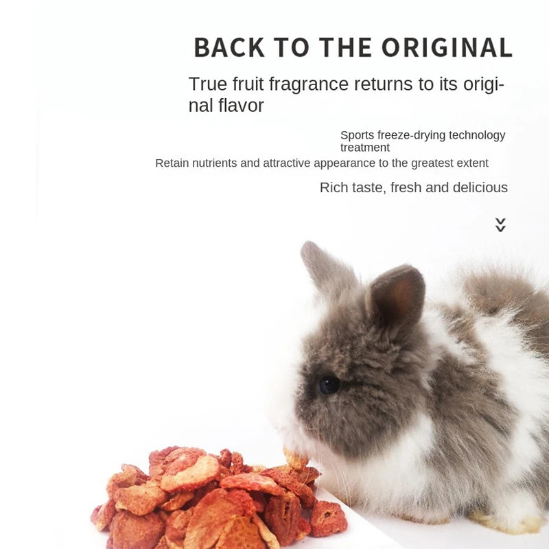 Freeze-Dried Strawberry Grains 60g Rabbit Chinchilla Guinea Pig Hamster Snacks Dried Strawberry for Digestion