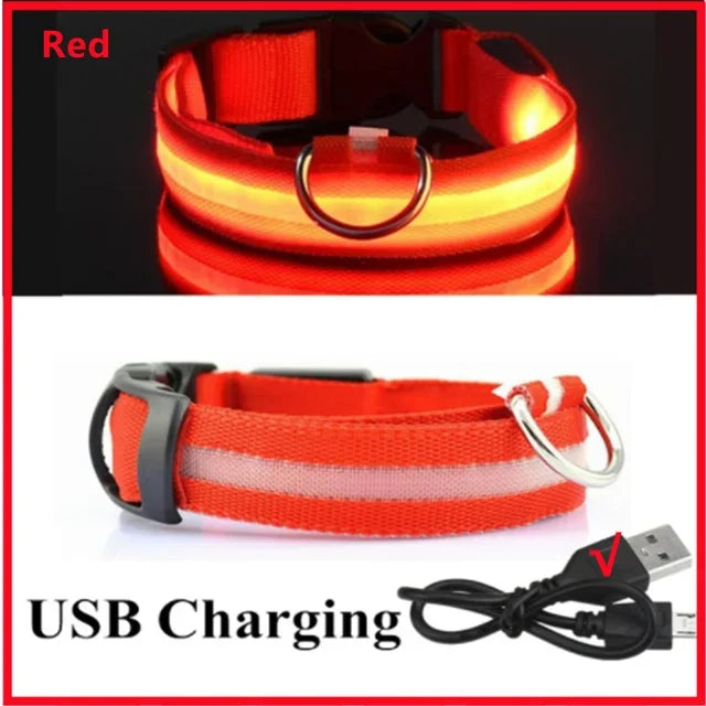 LED Rechargeable Dog Glow Collar