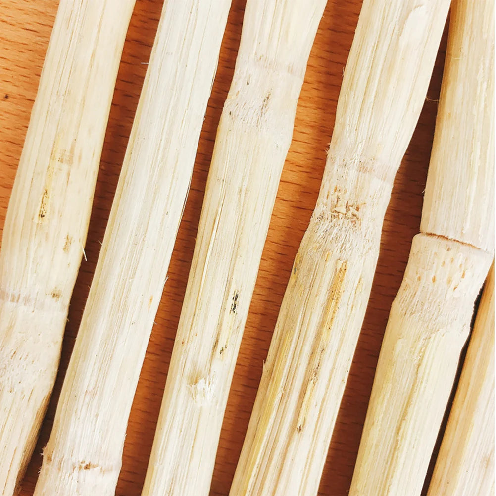 500G Xylose Bamboo Chew Stick for Small Pets Healthy Grinding Treat for Rabbits Guinea Pigs Chinchilla Molar Care