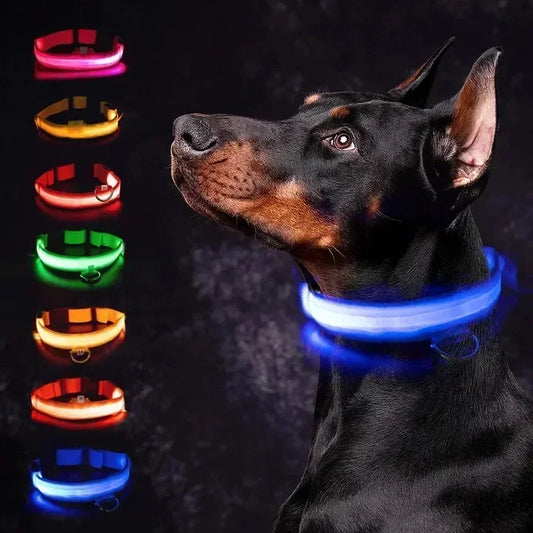 LED Rechargeable Dog Glow Collar
