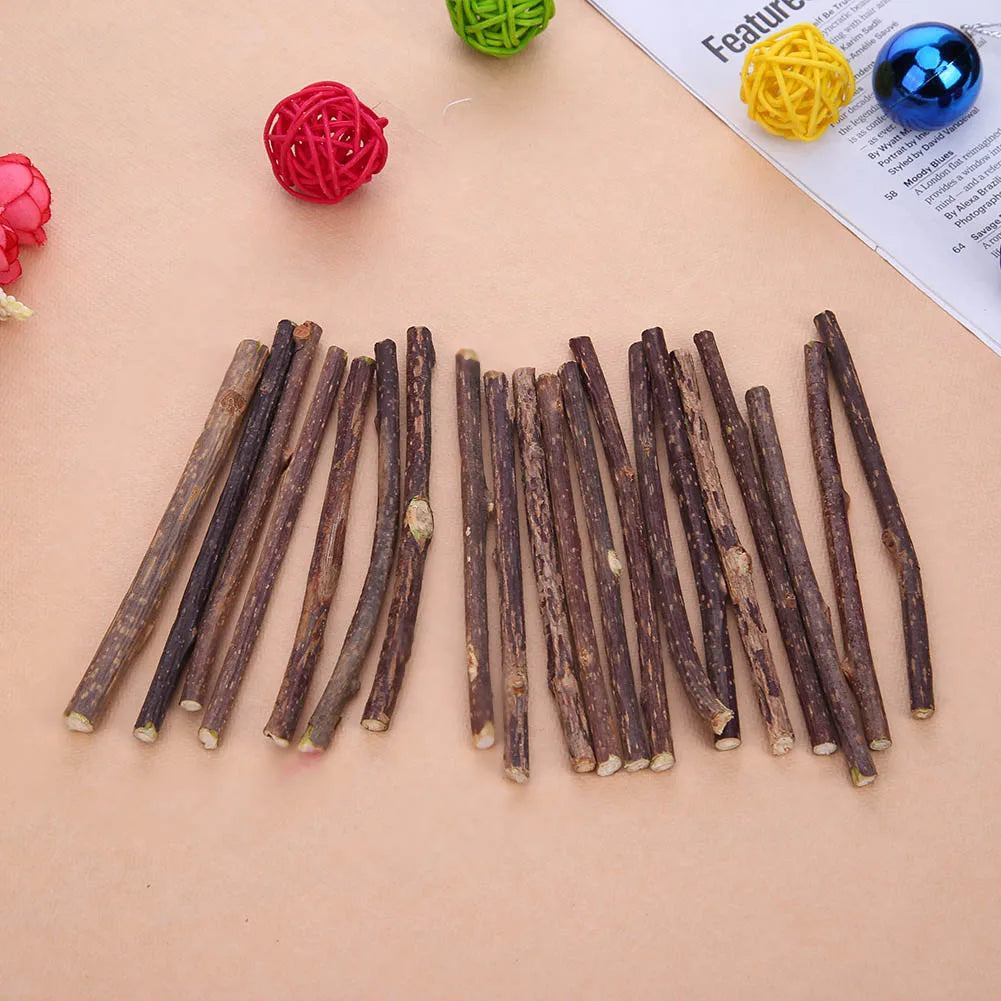15-60pcs Natural Catnip Pet Cat Molar Toothpaste Stick Matatabi Actinidia Fruit Silvervine Cat Snacks Sticks Pet Cleaning Teeth