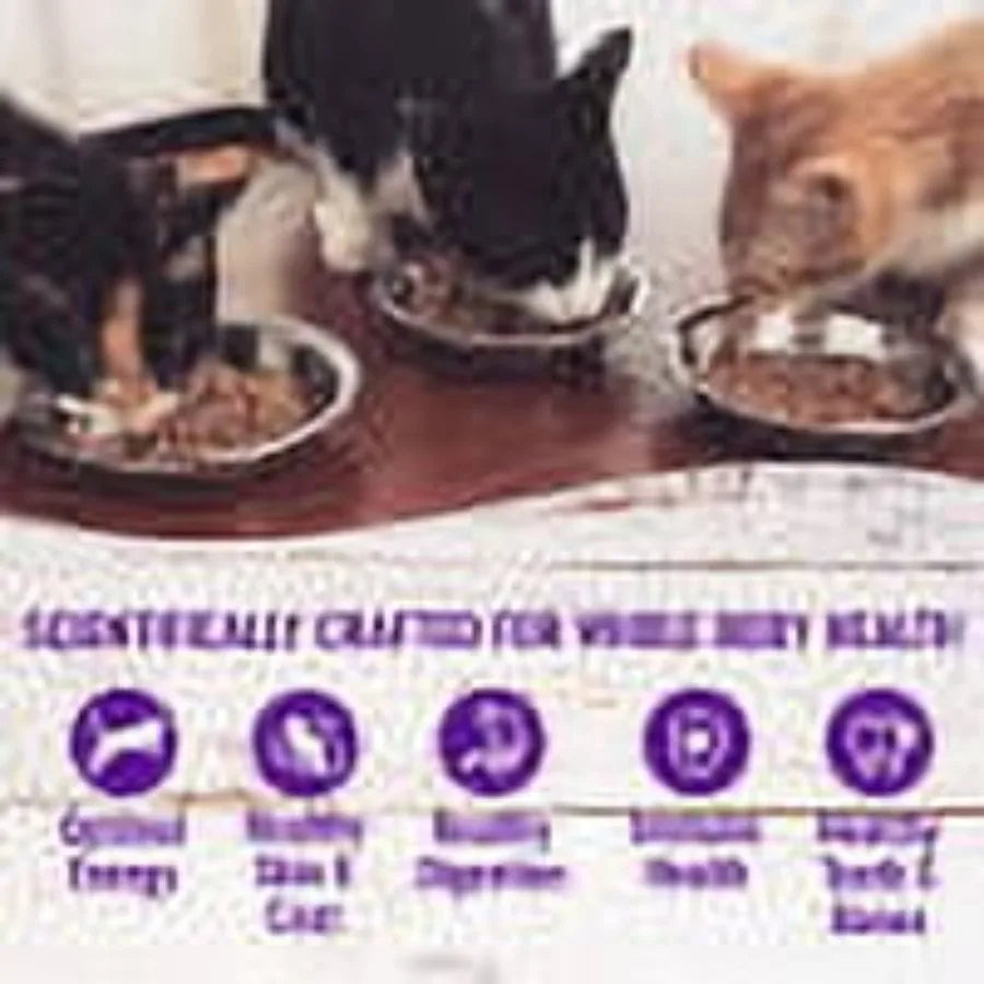 2 pack Healthy Indulgence Gravies Variety Pack Adult Wet Cat Food, Natural, Protein Rich, Grain Free, 2 Flavors, 3 oz, Pack of