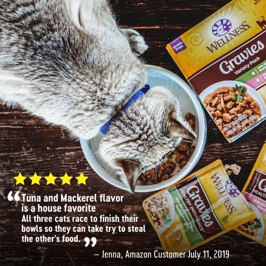 2 pack Healthy Indulgence Gravies Variety Pack Adult Wet Cat Food, Natural, Protein Rich, Grain Free, 2 Flavors, 3 oz, Pack of
