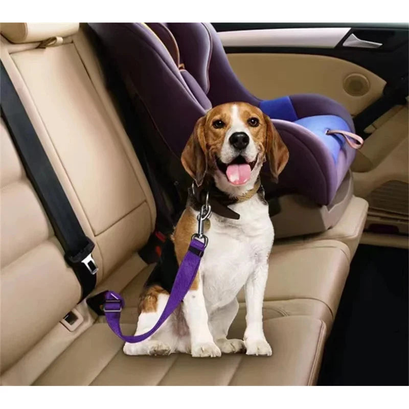 1-4Pcs Pet Cat Dog Car Seat Belt Suitable For Universal Safety Buckle Adjustable Safety Rope Dog Car Seat Belts Dog Accessoires