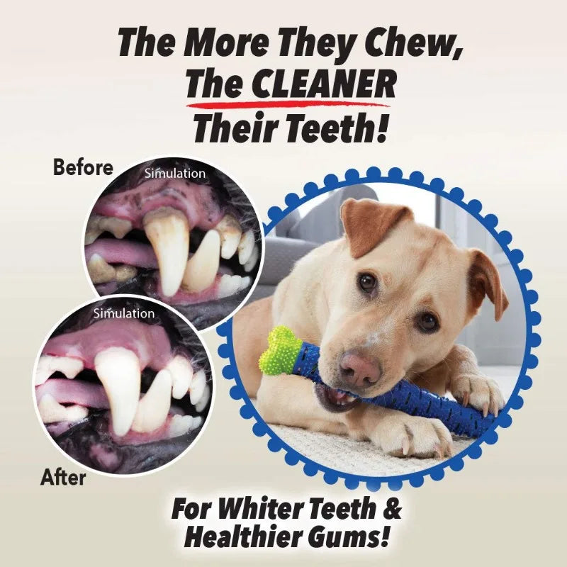 Dog Molar Stick Food Grade Bone Shape Dog Tooth Cleaning Interactive Bite Resistant for Small Pet with Slight Bite Force