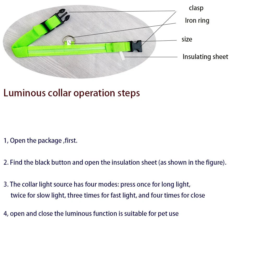 LED Glow Dog Safety Leash