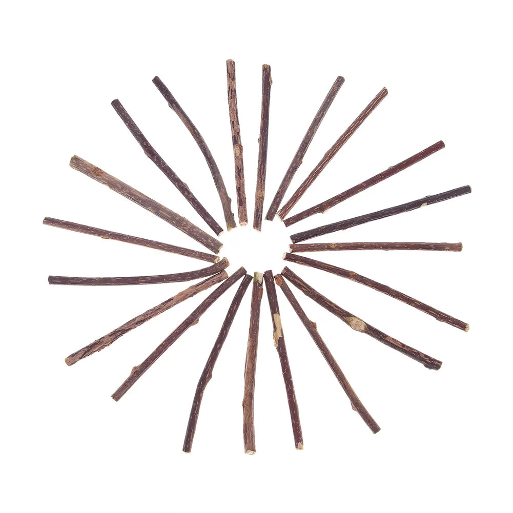 15-60pcs Natural Catnip Pet Cat Molar Toothpaste Stick Matatabi Actinidia Fruit Silvervine Cat Snacks Sticks Pet Cleaning Teeth