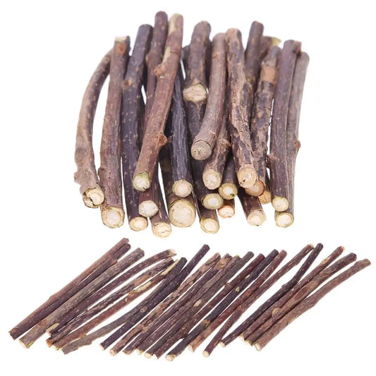 15-60pcs Natural Catnip Pet Cat Molar Toothpaste Stick Matatabi Actinidia Fruit Silvervine Cat Snacks Sticks Pet Cleaning Teeth