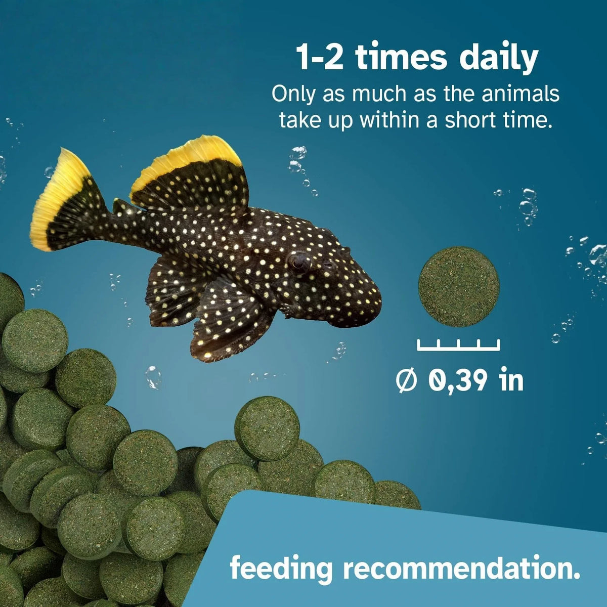 High Purity Spirulina Tablets Spiral Seaweed Enrichment Favorite Pets Food Fish Crystal Red Shrimp Fish Food Aquarium