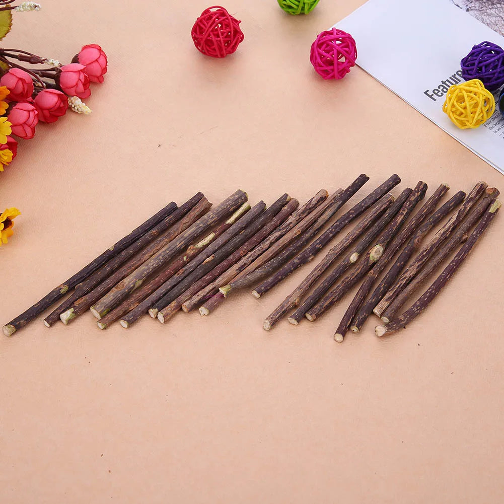 15-60pcs Natural Catnip Pet Cat Molar Toothpaste Stick Matatabi Actinidia Fruit Silvervine Cat Snacks Sticks Pet Cleaning Teeth