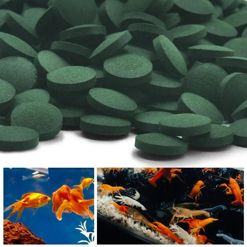 100-800pcs Spirulina Tablets Enrichment Favorite Pet Food fish crystal red shrimp pet food
