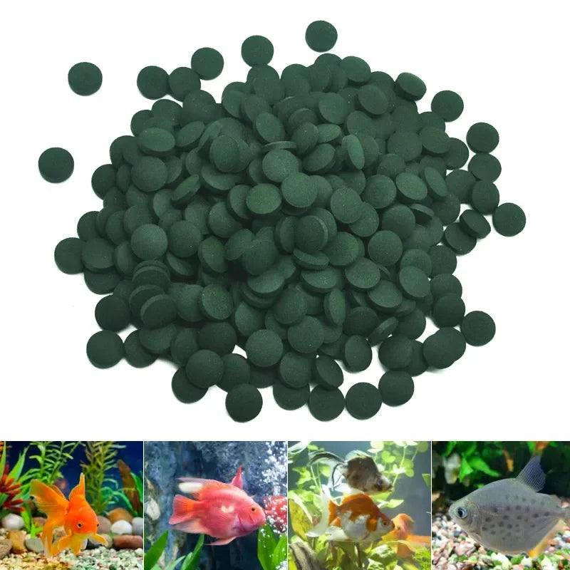 High Purity Spirulina Tablets Spiral Seaweed Enrichment Favorite Pets Food Fish Crystal Red Shrimp Fish Food Aquarium