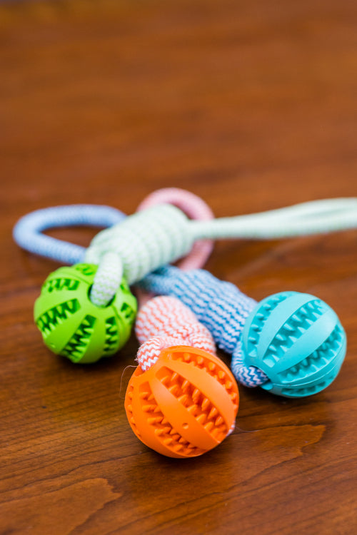 Rubber Ball Rope Chew Toy